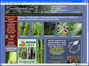 Visit the hardybamboo website